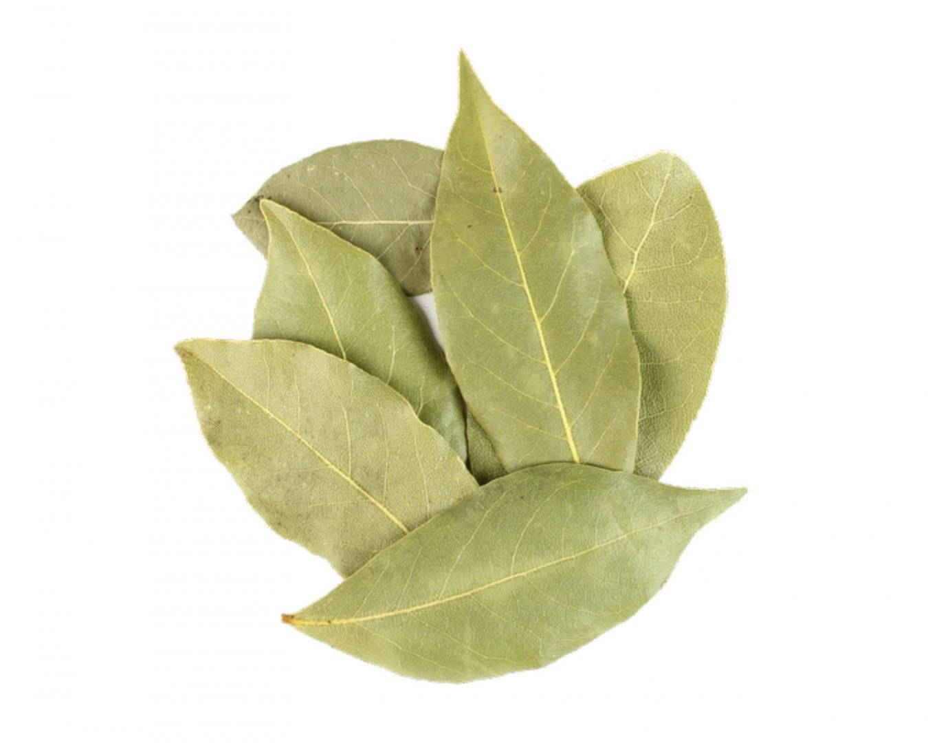 Bay Leaf