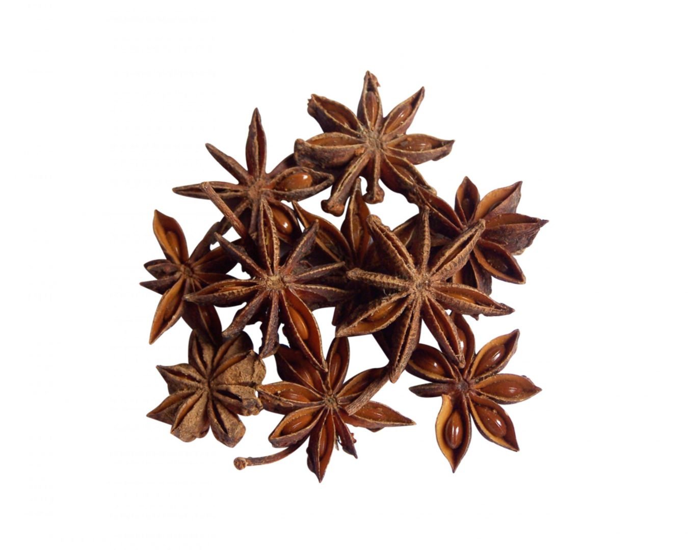 Star Anise