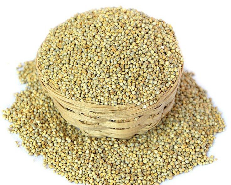 Bajra