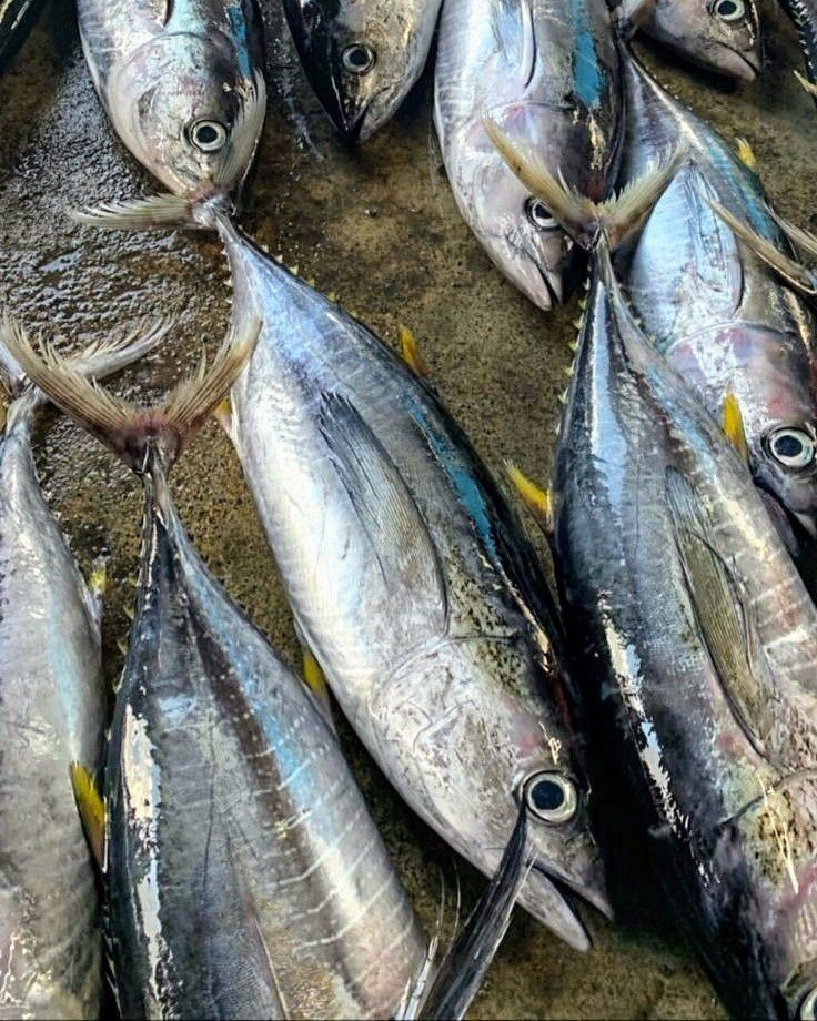 Seafood